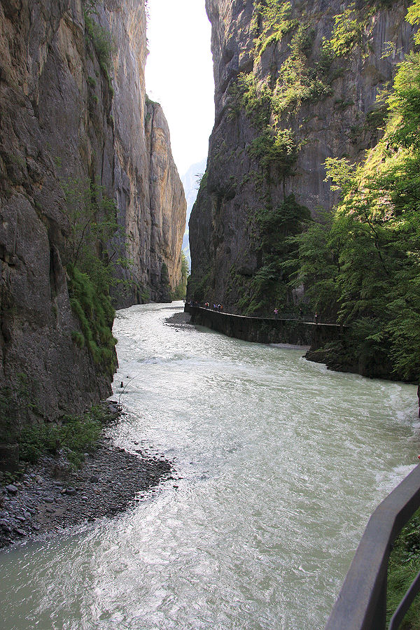 Gole del fiume Aare